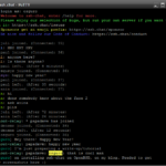 ssh'ing into the "official" hostname: ssh.chat